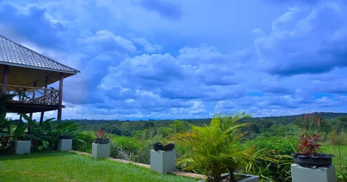 Coco Ocean or Ngala Lodge level
